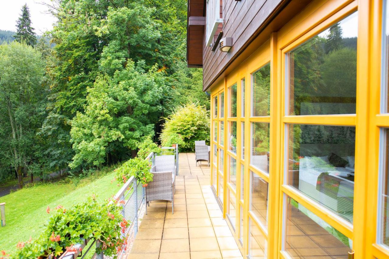 Amenity & Spindleruv Mlyn