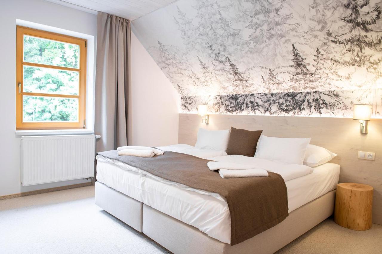 Hotel Amenity & Špindlerŭv Mlýn