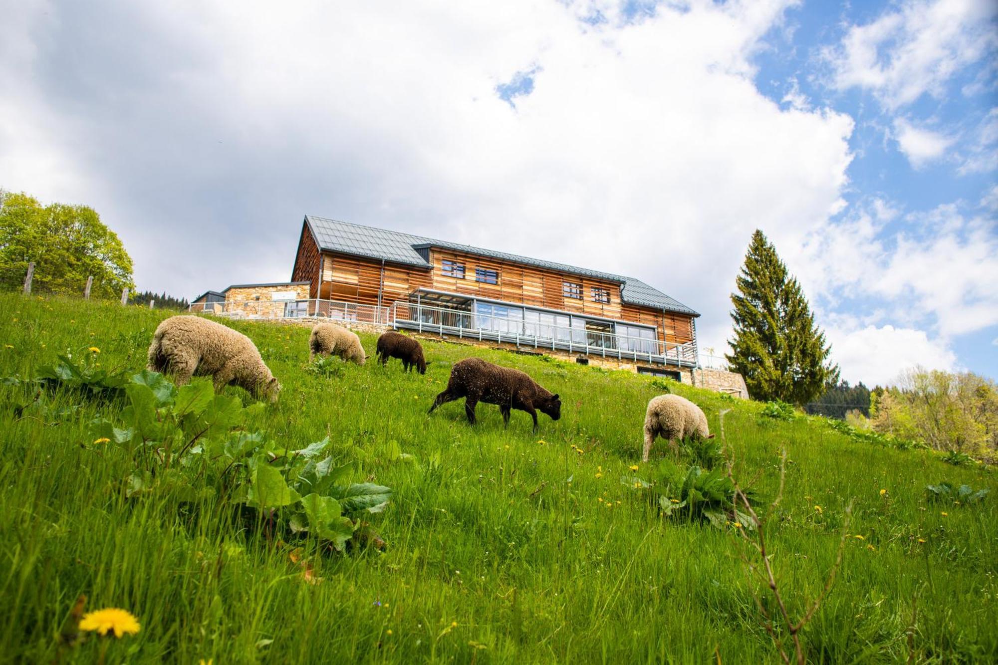 Amenity & Hotel 4*